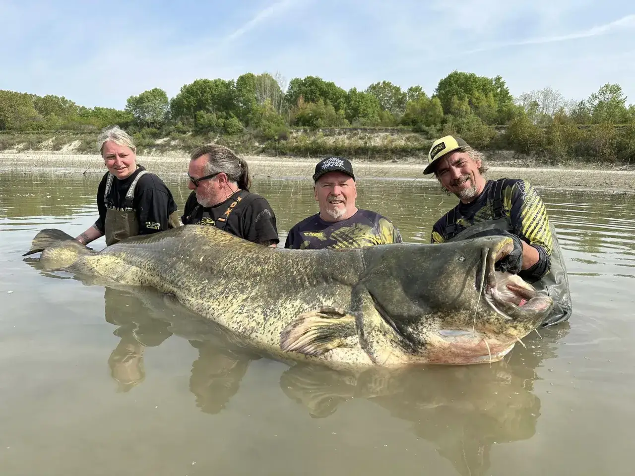 Czterech wędkarzy pozuje z gigantycznym sumem. To imponujące stworzenie, które może żyć na wolności nawet 50 lat.