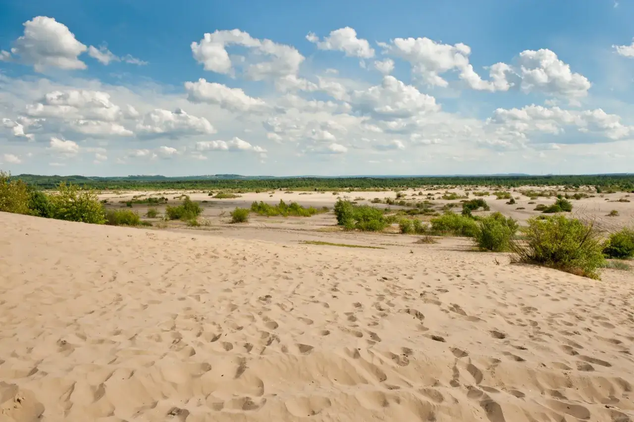 Pustynia Błędowska, z piaszczystymi wydmami i kępami zieleni, pod błękitnym niebem z białymi chmurami.