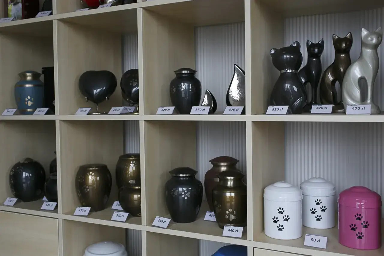 Urna z prochami psa, cmentarz dla zwierząt w Polsce