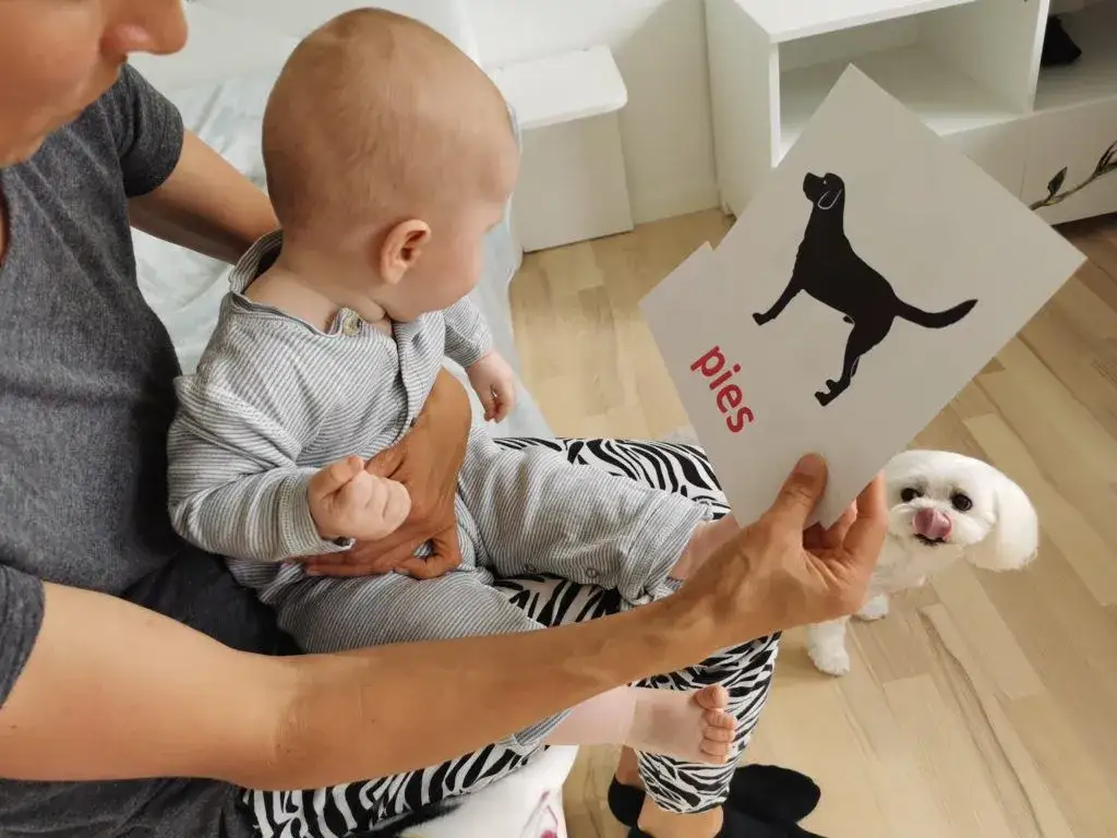 rodzic bawi się z niemowlęciem kontrastowe karty