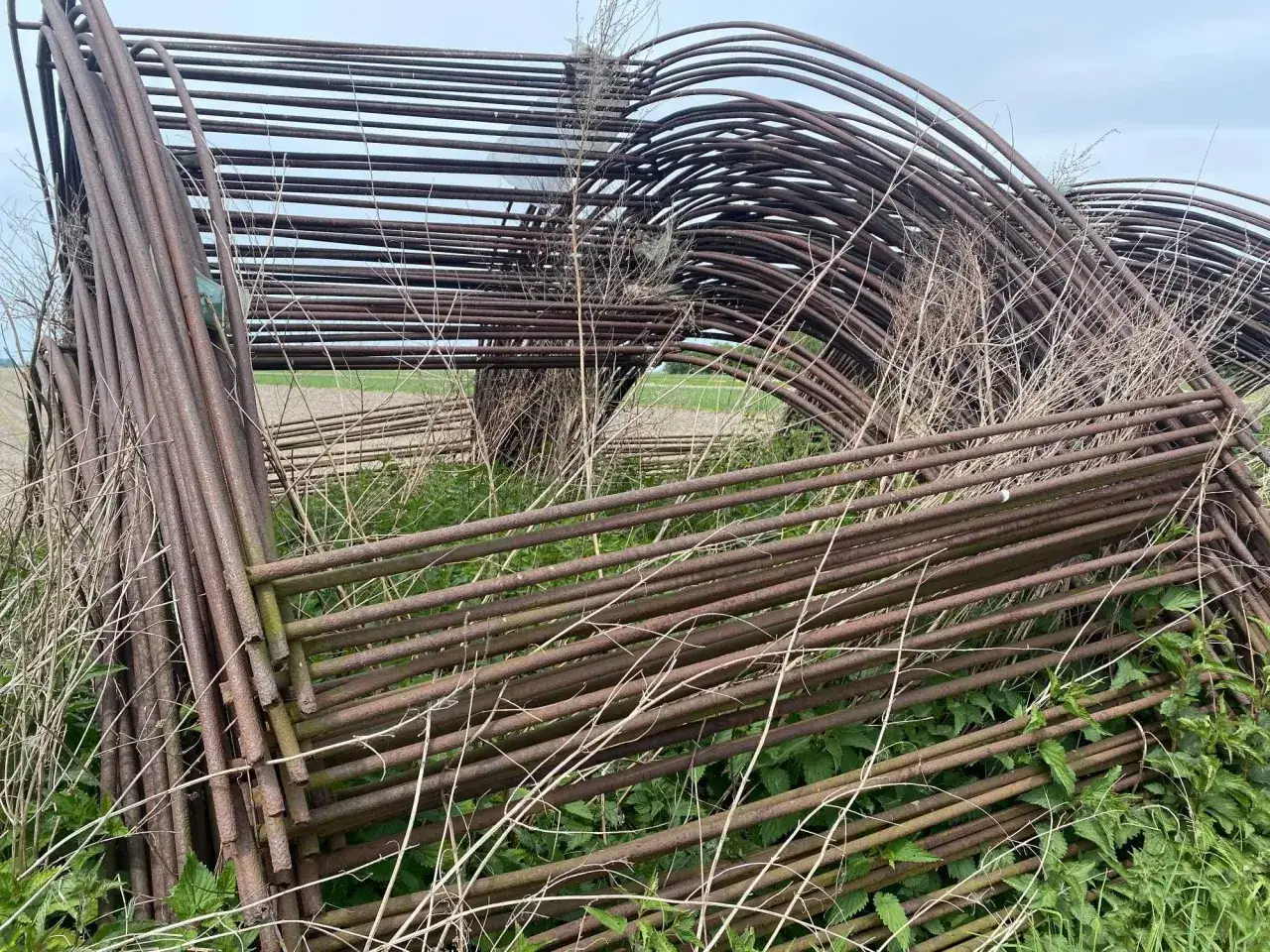 Zardzewiałe, metalowe pałąki do tunelu foliowego leżą na trawie. To materiał do budowy własnego tunelu, pokazujący, jak zrobić pałąki do tunelu foliowego.
