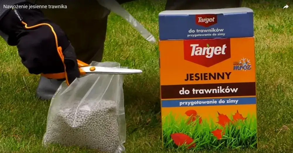 trawnik jesienią przygotowanie do zimy