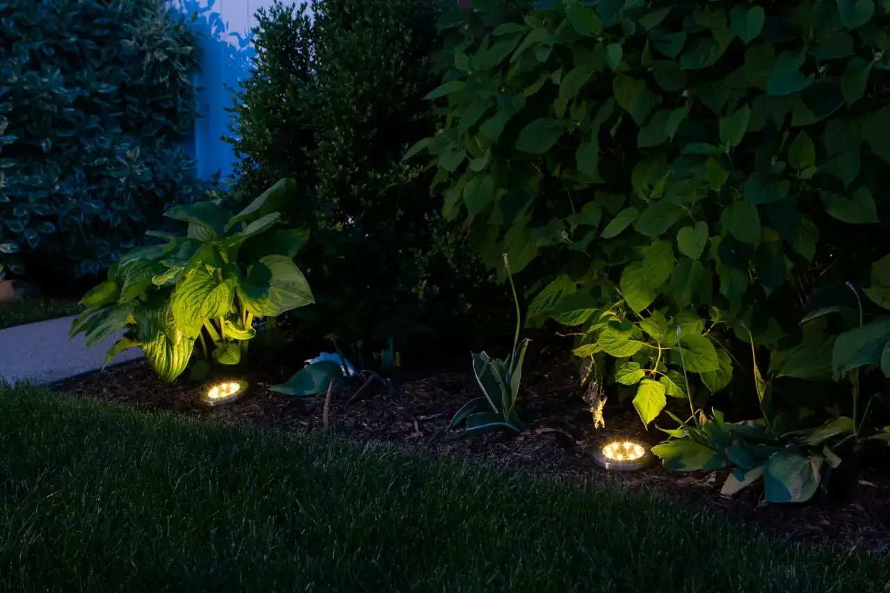 Ogr&oacute;d nocą, pierwsze uruchomienie lampy solarnej. Dwa dyskretne światła oświetlają roślinność, tworząc magiczną atmosferę.