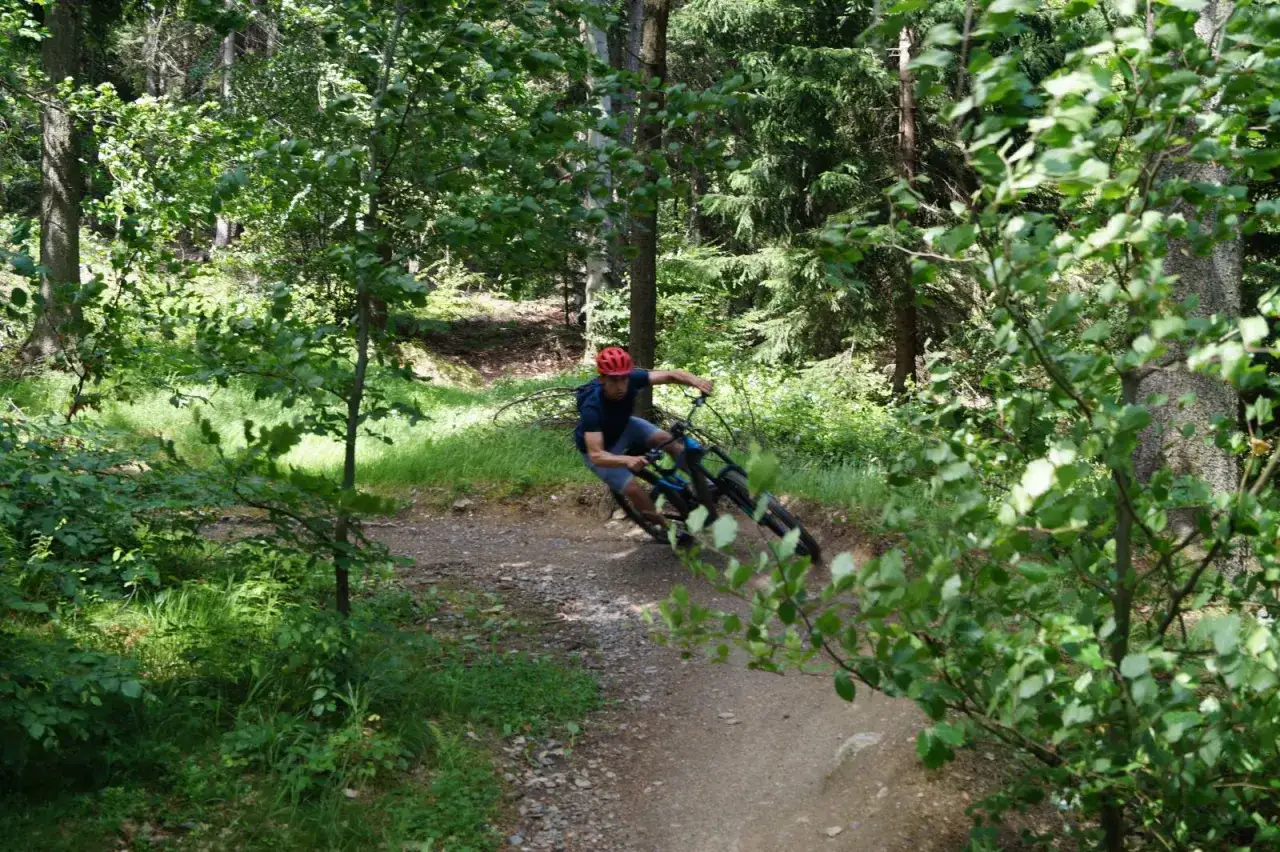 Single Track Zajęcznik Świeradów-Zdrój rower