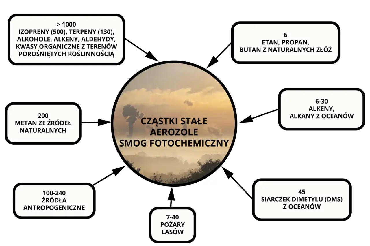 Rodzaje smogu i jego składniki