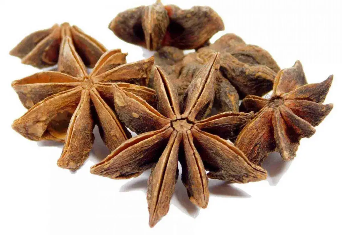 Anyż gwiazdkowy, aromatyczna przyprawa o kształcie gwiazdy, dodaje smaku potrawom.