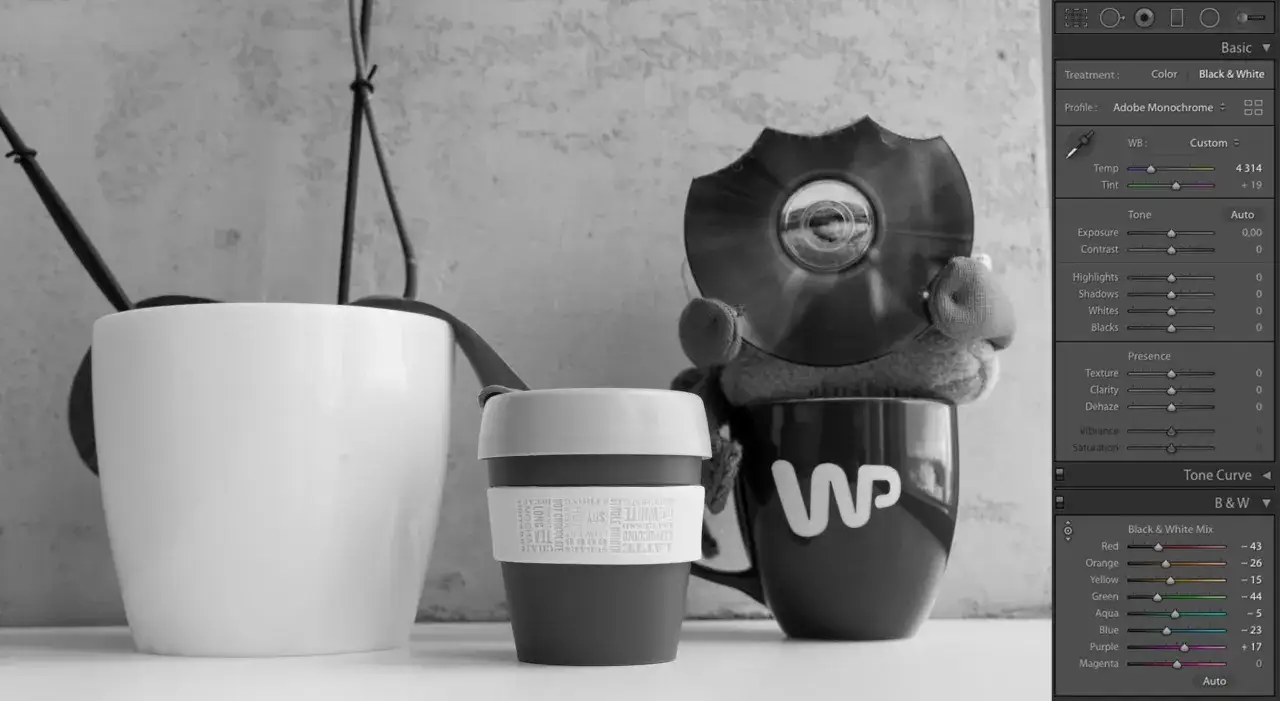 fotografia czarno biała. Dwa kubki i pluszowa zabawka z płytą CD.