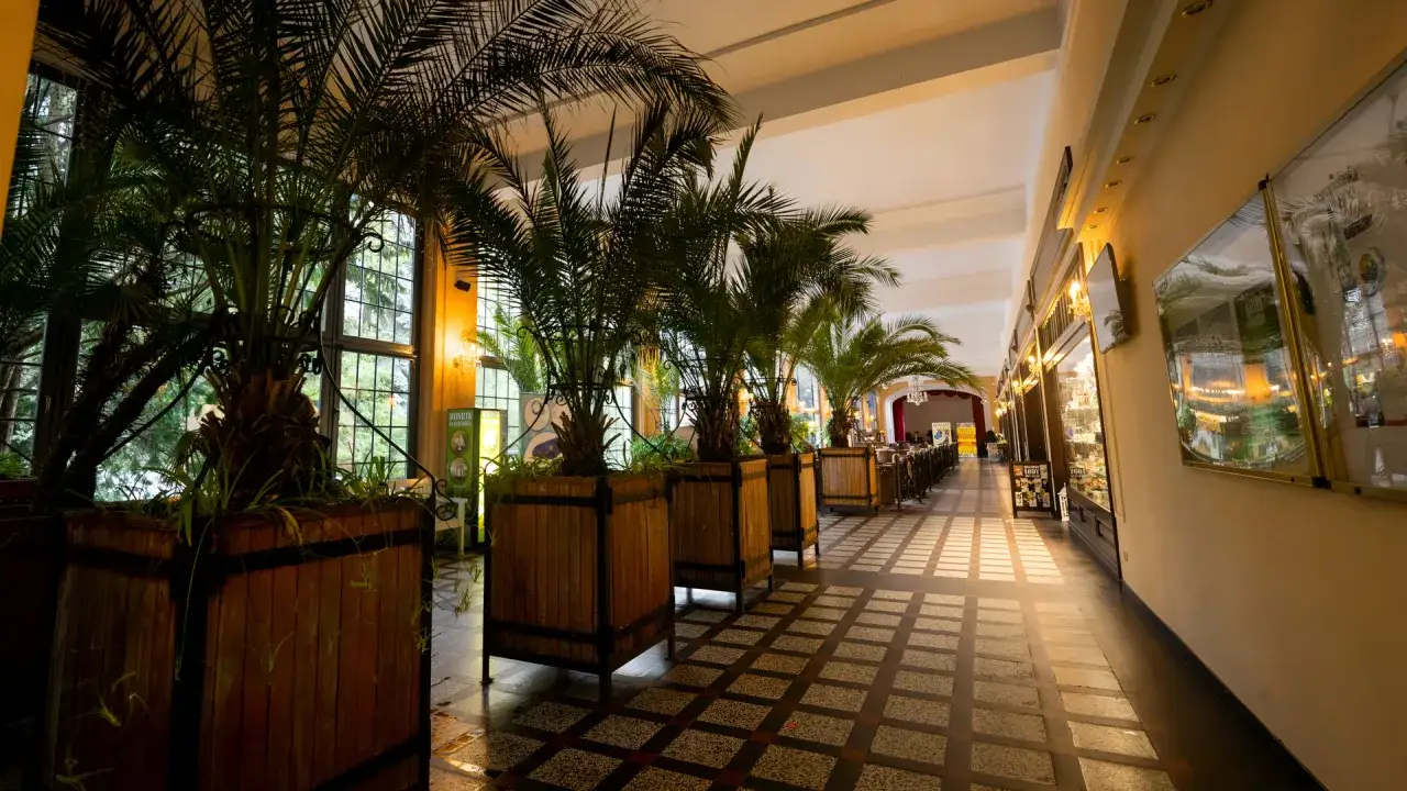 Park Zdrojowy Polanica-Zdrój fontanna rododendrony