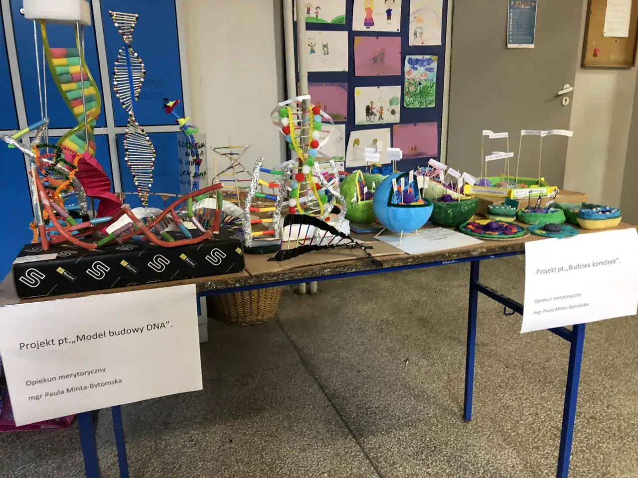 Kreatywne projekty pokazujące, jak zrobić model DNA z koralików i budowę komórki. Różnorodne materiały i kolory.