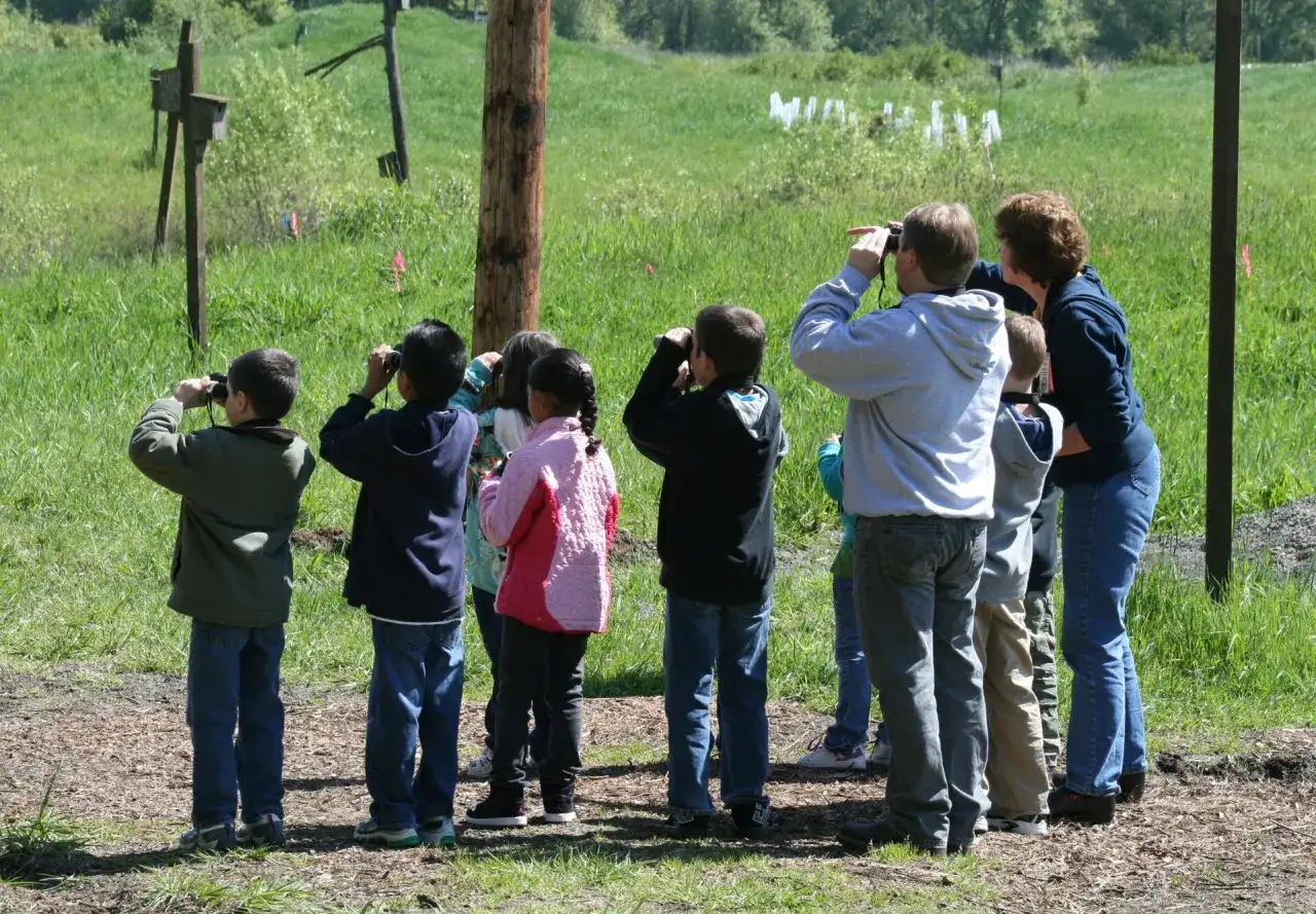 Dziecko z lupą obserwujące roślinę