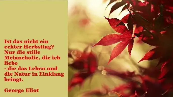 inspirierende gedichte leben natur