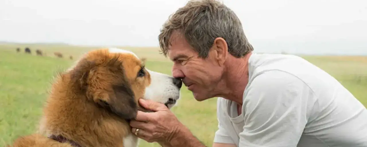 wzruszająca scena z filmu o psie, pies i człowiek przytuleni