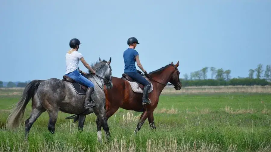 Zdjęcie Czy można jeździć konno podczas okresu? Oto, co warto wiedzieć