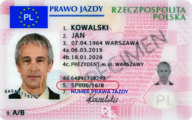 Zdjęcie Gdzie znaleźć datę wydania prawa jazdy? Kluczowe informacje, które musisz znać
