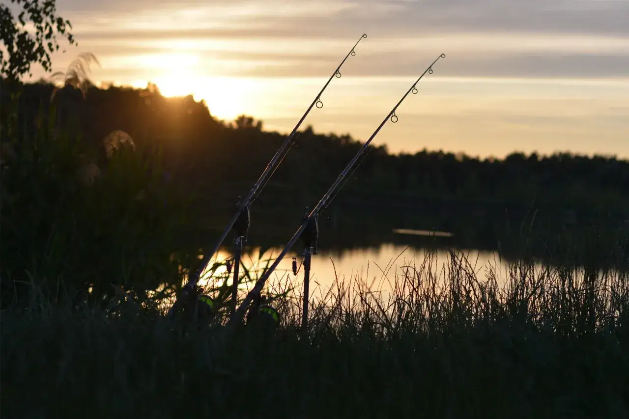 Zdjęcie Jaką wędkę karpiową wybrać, aby uniknąć rozczarowania?