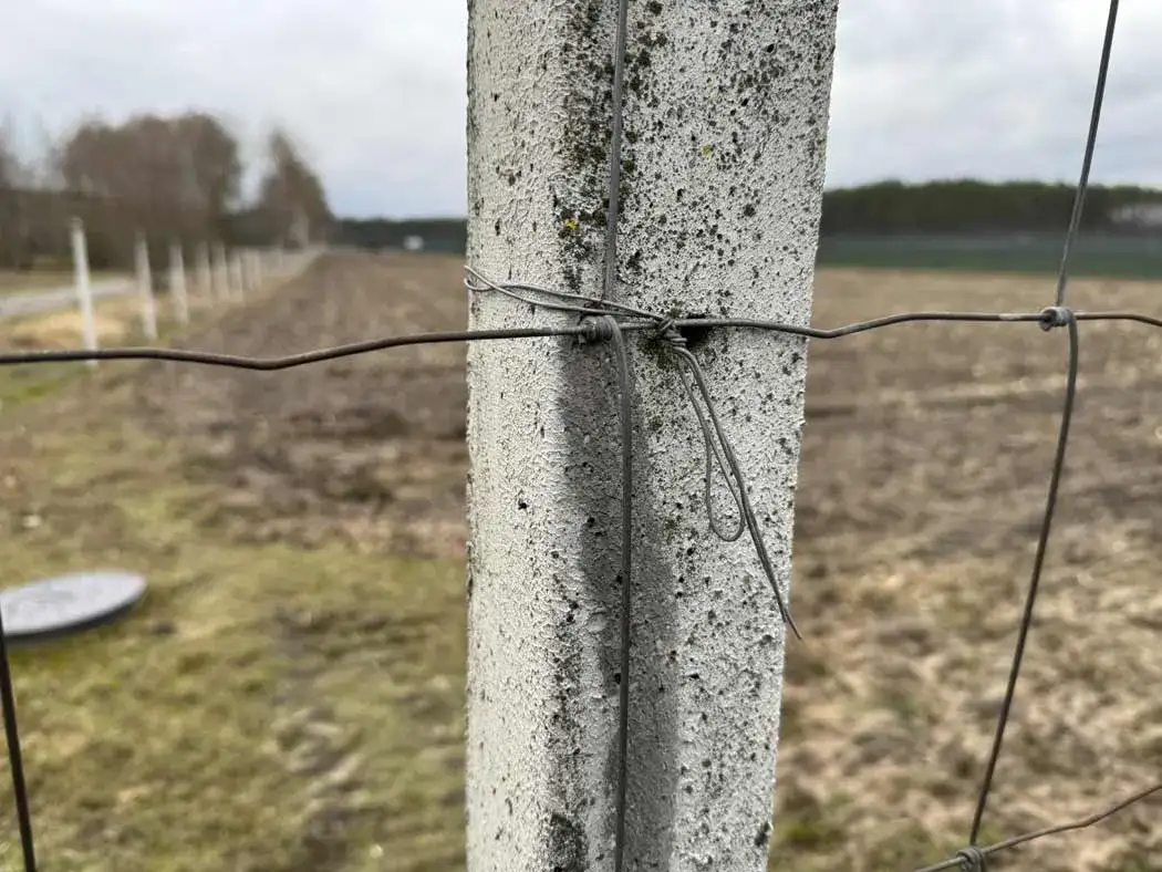 Zdjęcie Ogrodzenie z siatki leśnej: jak dobrze rozstawić słupki, by uniknąć problemów