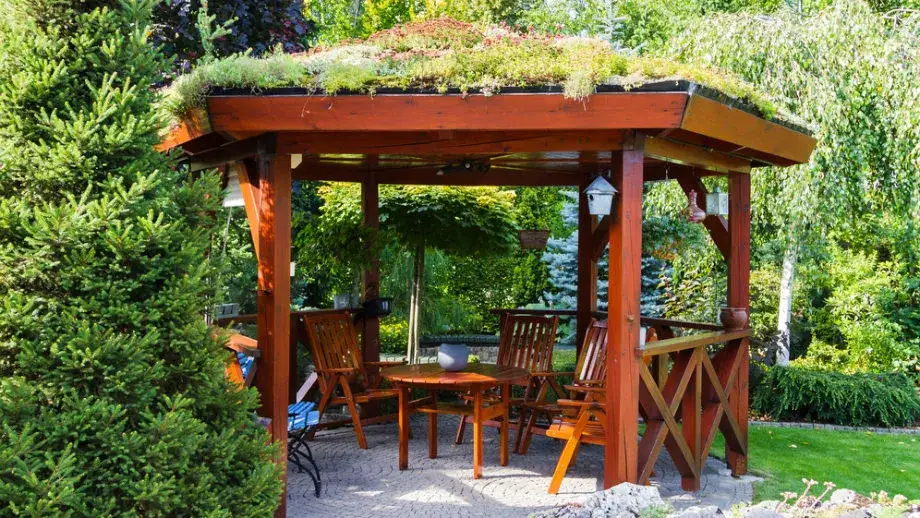 Zdjęcie Czym pomalować drewnianą pergolę, aby uzyskać trwały efekt?