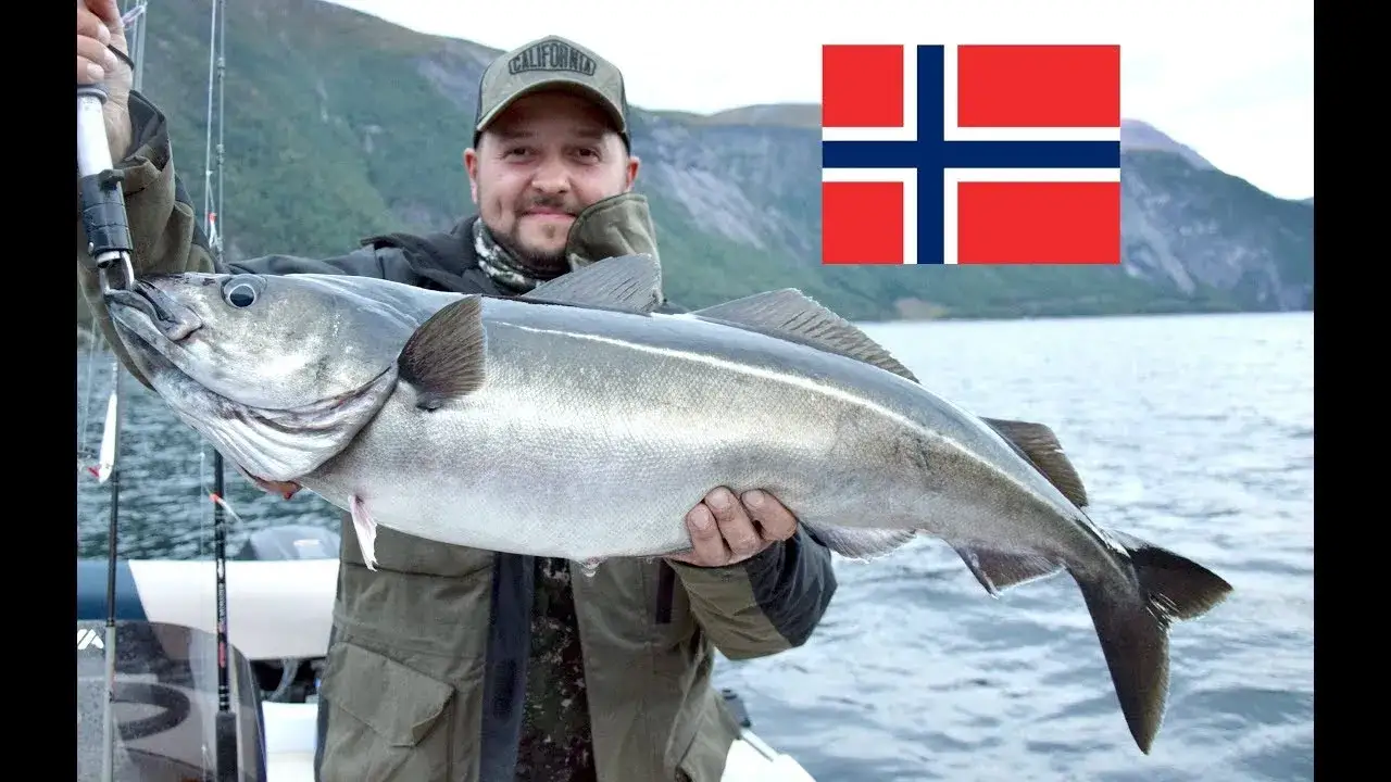 Zdjęcie Jak bezpiecznie i legalnie przewieźć ryby z Norwegii – praktyczne porady i wymagania