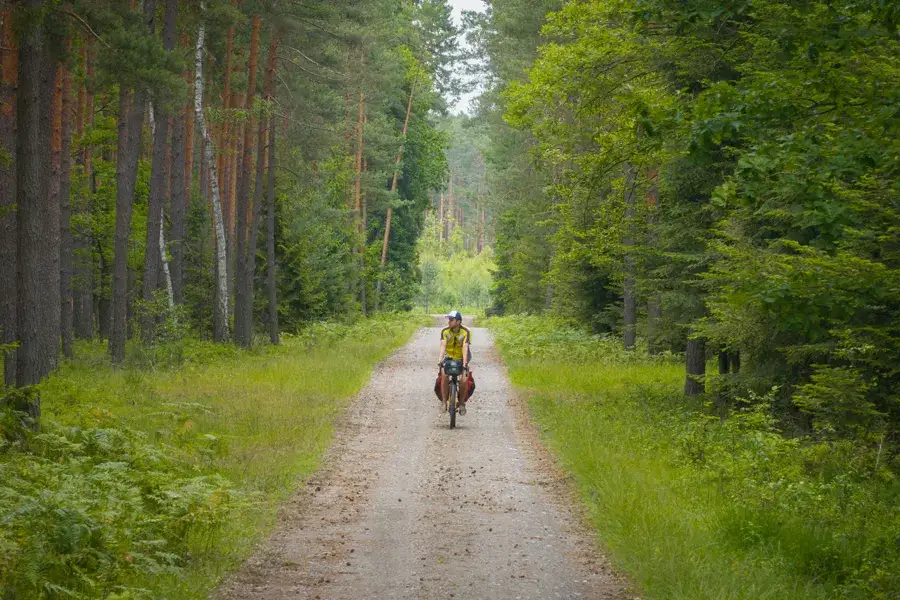 Green Velo Lasy Janowskie rowery