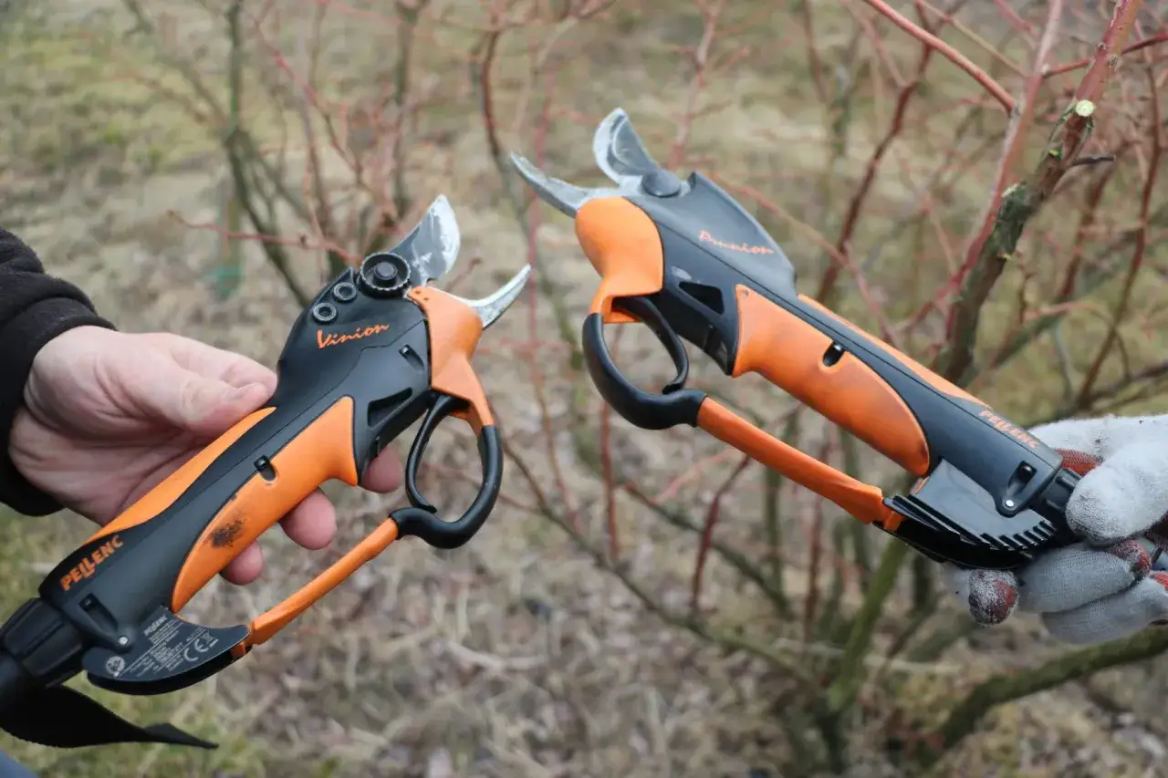 sekator do bor&oacute;wki amerykańskiej i środki do dezynfekcji