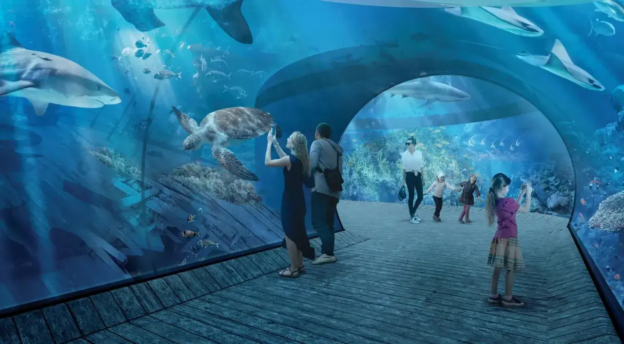 Podwodny tunel z rekinami i żółwiem. Rodzina zwiedza, zastanawiając się, które lepsze oceanarium: gdańsk czy gdynia.
