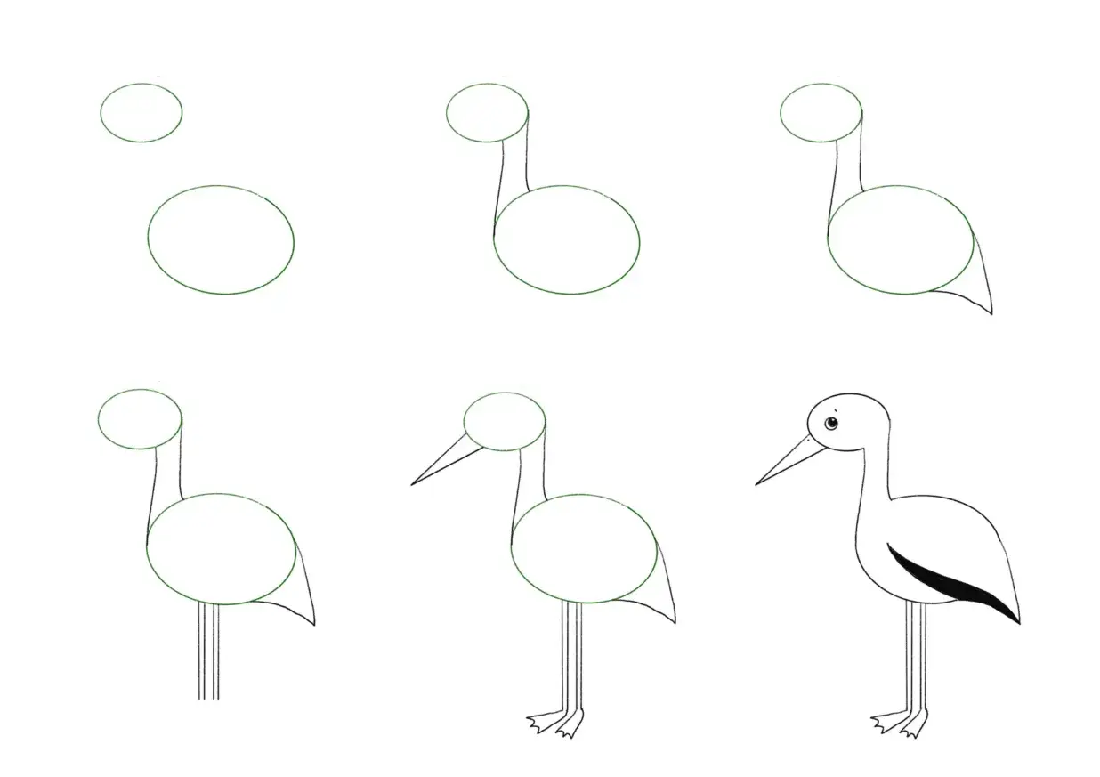 jak narysować bociana krok po kroku proste kształty