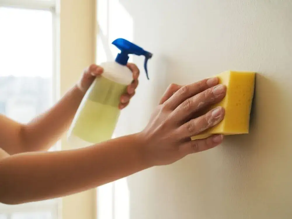 mydło malarskie i gąbka do mycia ścian