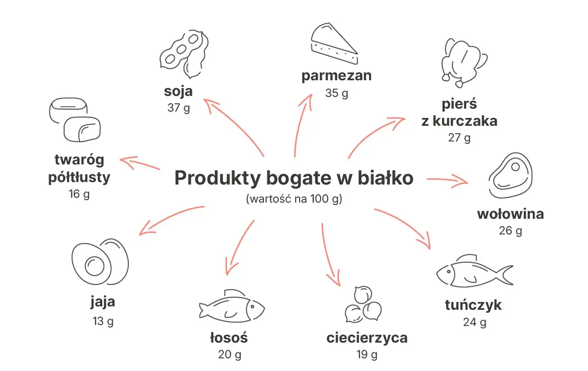 Przykładowe źródła białka w diecie