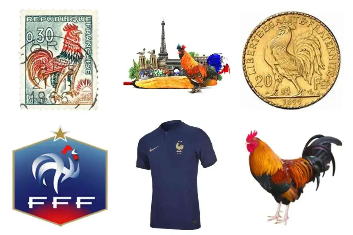 Kogut symbol Francji na znaczku, monecie, koszulce FFF i w scenie z Wieżą Eiffla.
