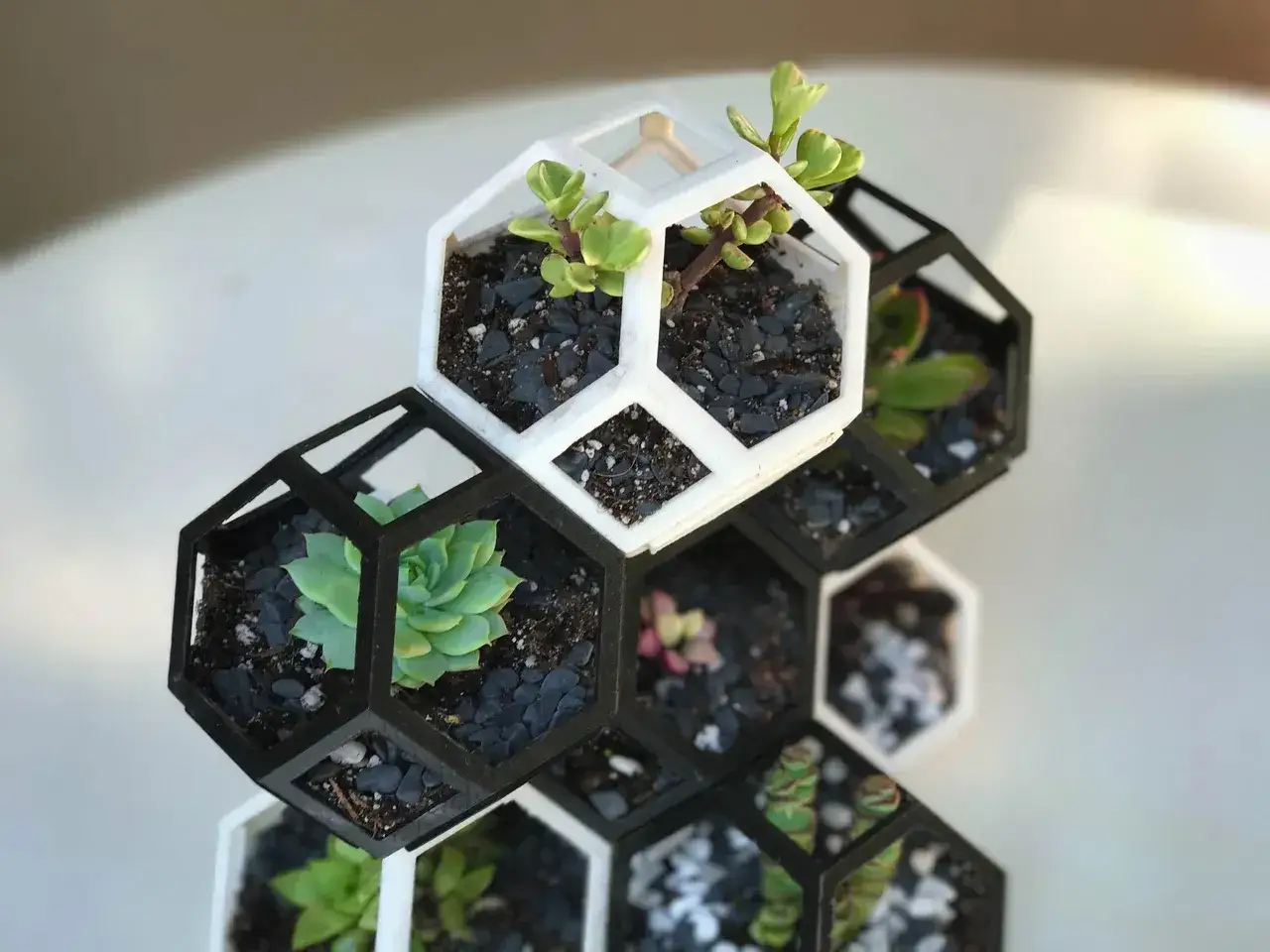 Stojak z sukulentami w geometrycznych doniczkach, gotowe projekty drukarki 3d.