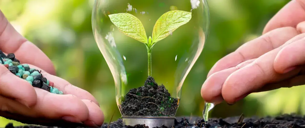 Dłoń z nawozem i dłoń z wodą pielęgnują młody pęd w żarówce. Dowiedz się, jakie dokumenty są niezbędne do handlu produktami bio i eko.