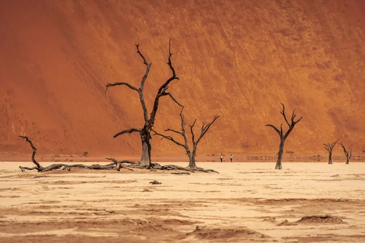 Pustynia Namib z martwymi drzewami i dwoma turystami. Czy Namibia jest bezpieczna? Tak, to bezpieczne miejsce do zwiedzania.