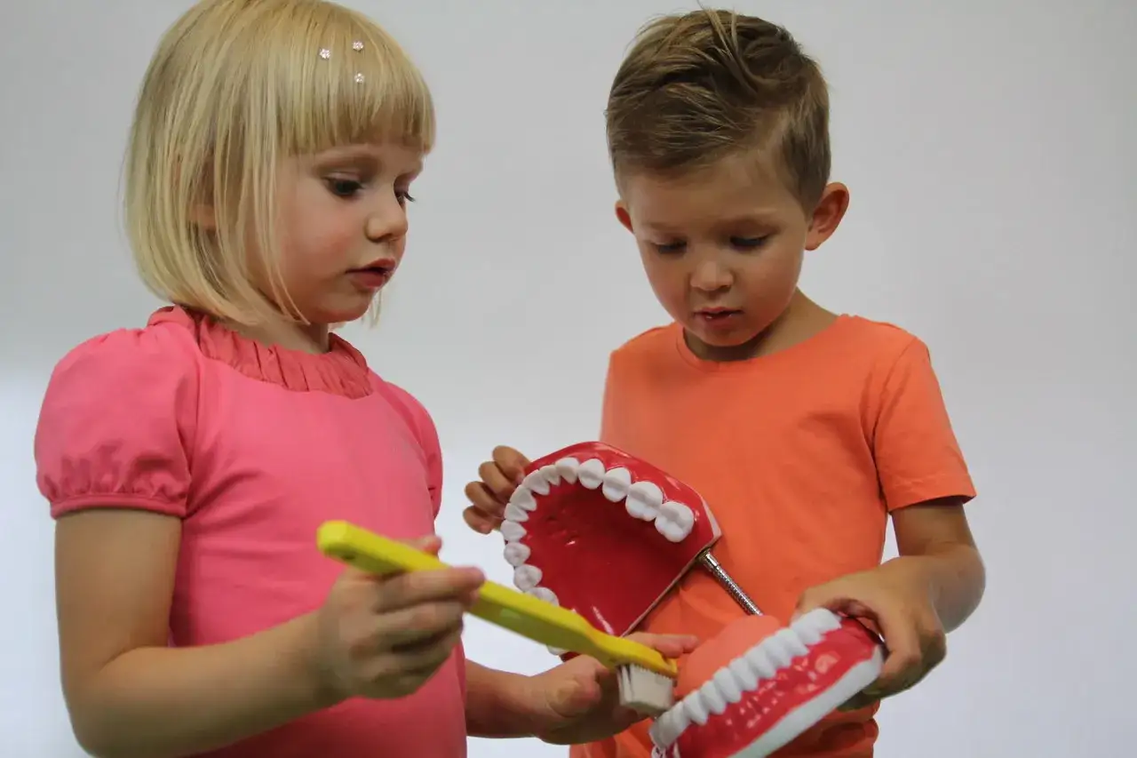 Dzieci uczą się dbać o zęby, ćwicząc na modelach szczęk. Dziewczynka z różową bluzeczką pokazuje, jak szczotkować siekacze u dziecka.