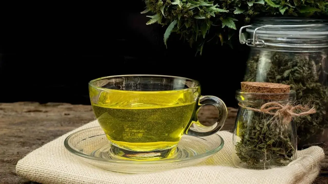 zielona herbata zdrowie serca i metabolizm