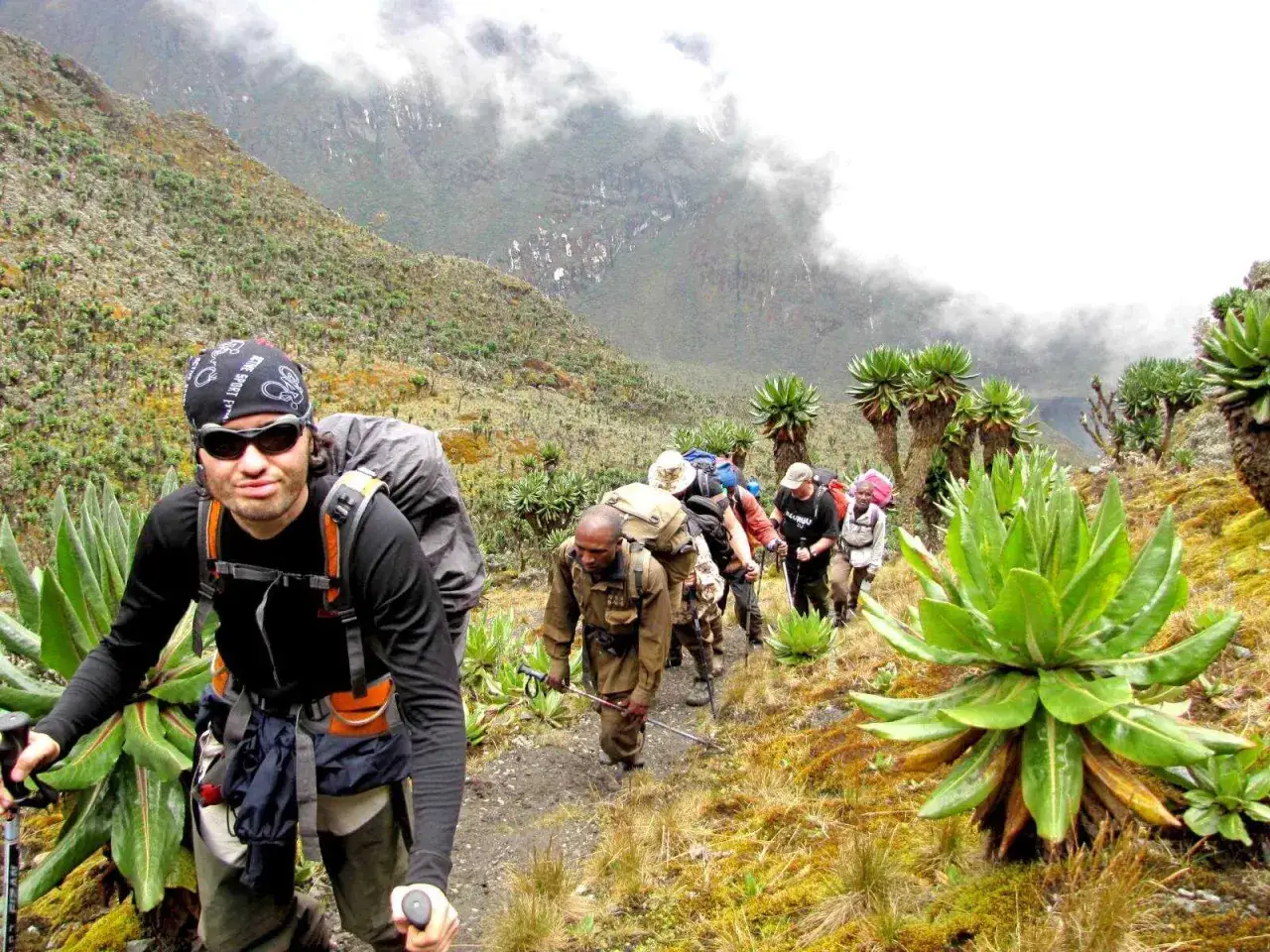 Grupa turystów wspina się po ścieżce wśród bujnej roślinności. W oddali widać mgliste szczyty, przypominające krajobraz **gór księżycowych**.