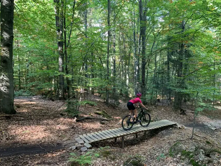 Najlepsze trasy rowerowe MTB Polska