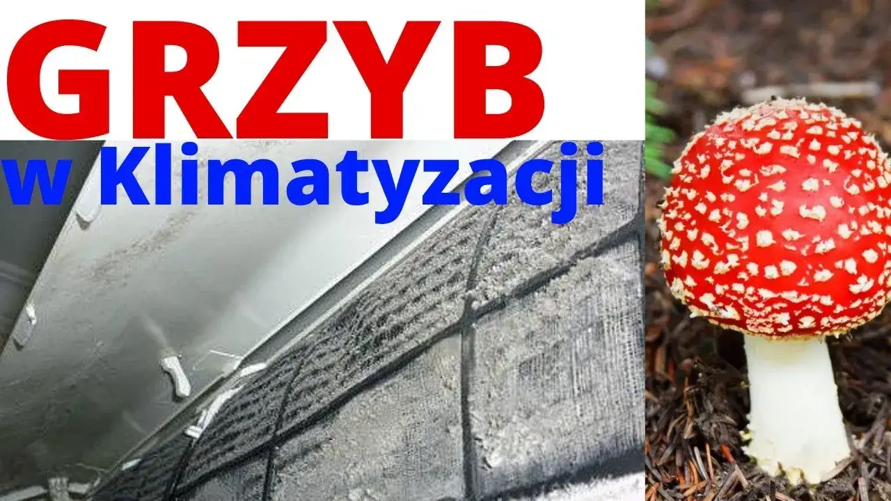 objawy brudnej klimatyzacji samochodowej zapach grzyb pleśń