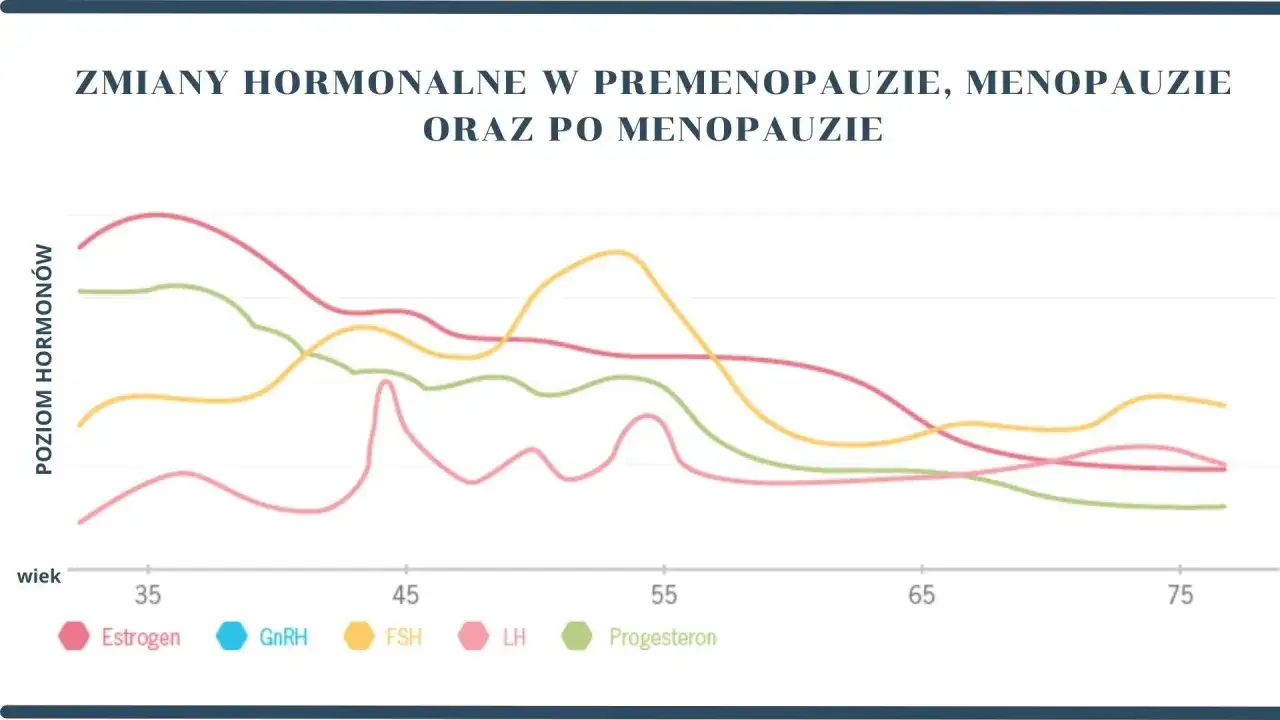 Schemat zmian hormonalnych w menopauzie, produkcja estrogenów