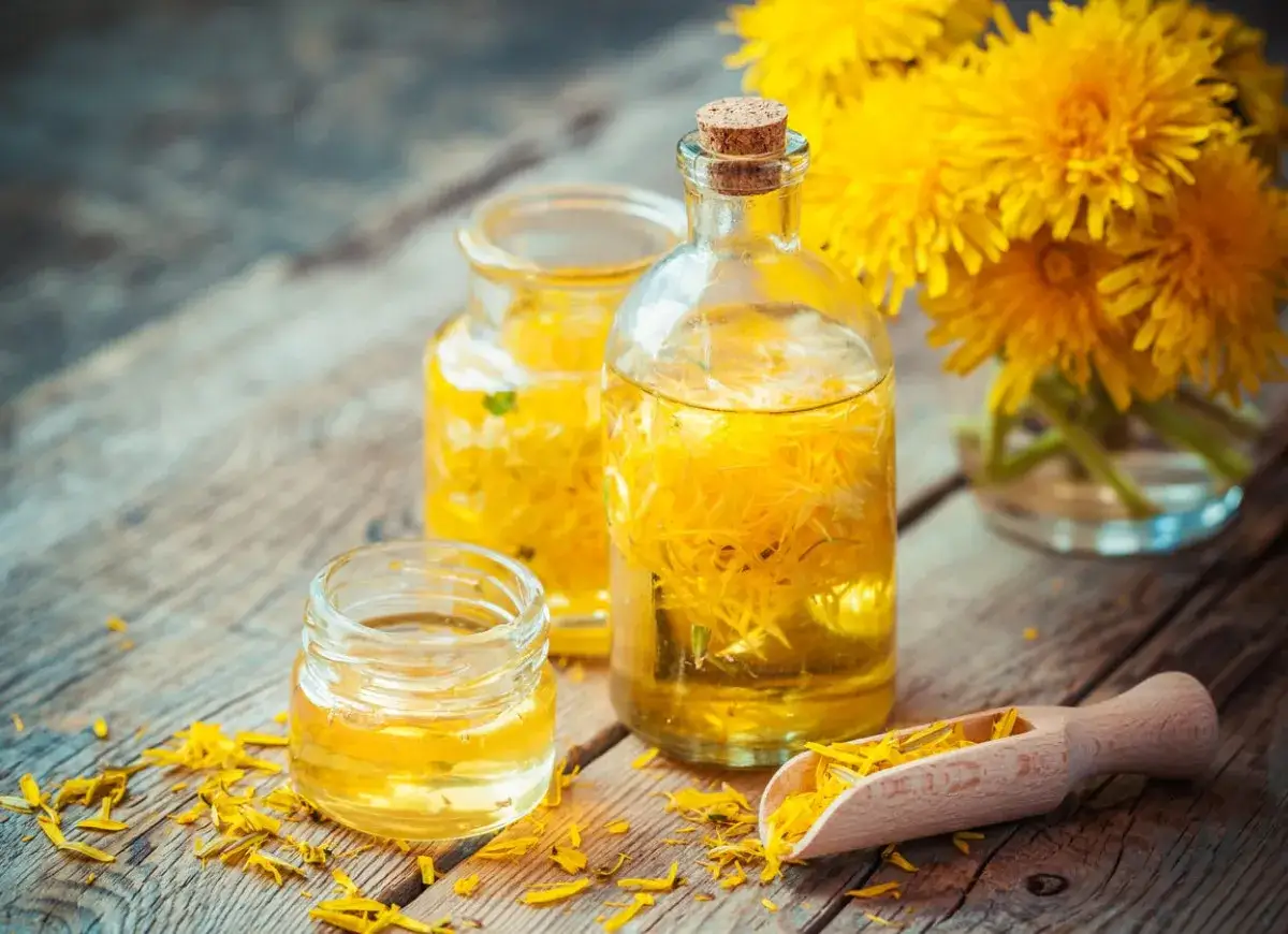 Złocista nalewka z mniszka w butelkach i słoiczkach, obok świeże kwiaty.