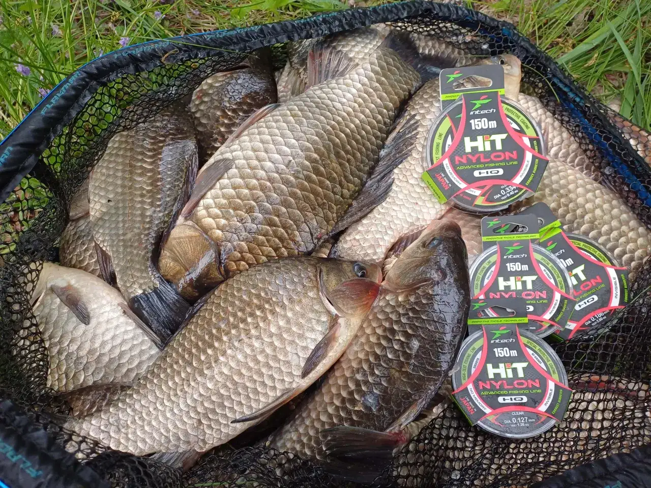 r&oacute;żne średnice żyłek wędkarskich