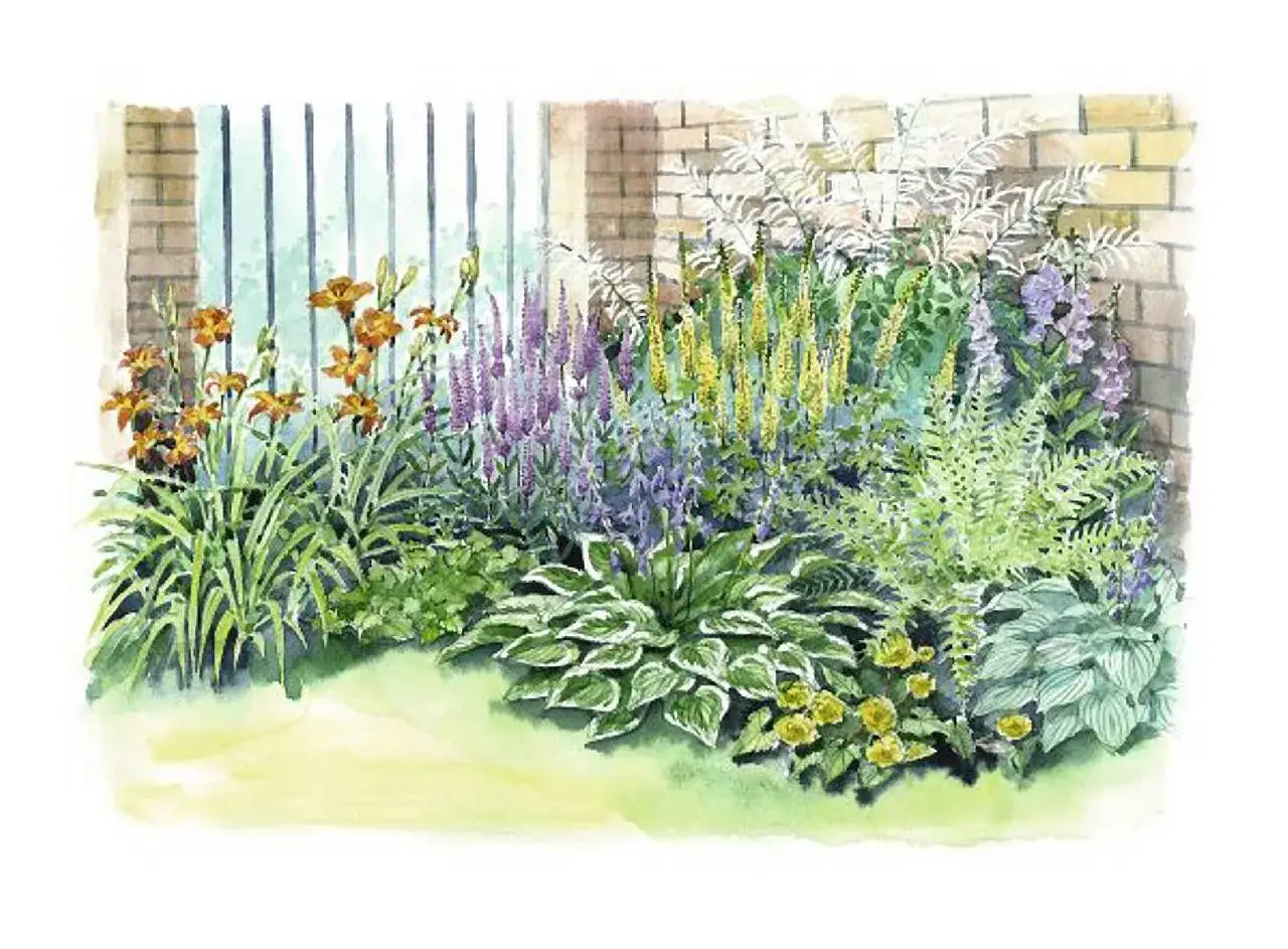 Kolorowy projekt rabaty bylinowej: pomarańczowe lilie, fioletowe i żółte kwiaty, hosty i paprocie przy ceglanym murze i płocie.