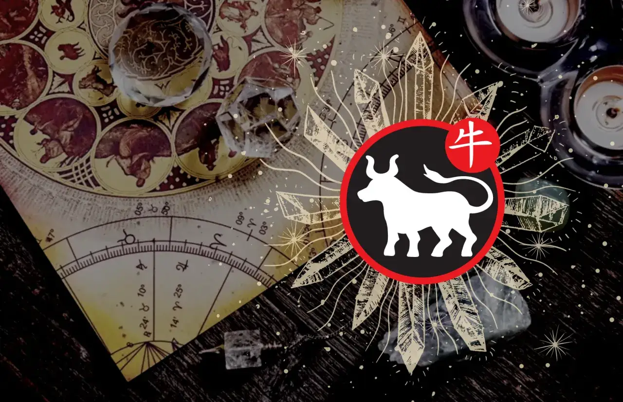 chińskie liczby pechowe i szczęśliwe symbolika