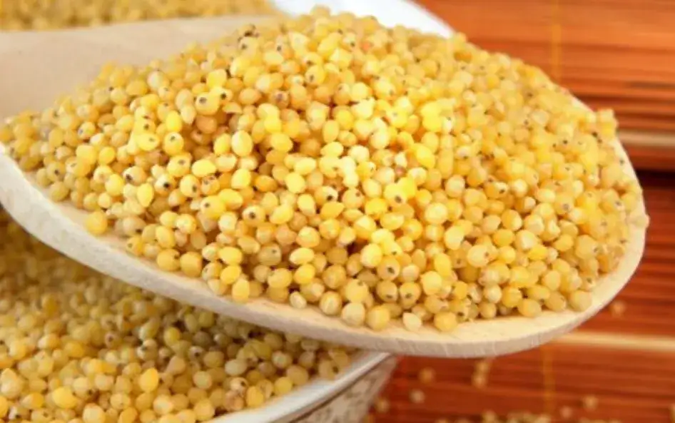 Zdjęcie Czy kasza jaglana jest dietetyczna? Odkryj jej zdrowotne właściwości