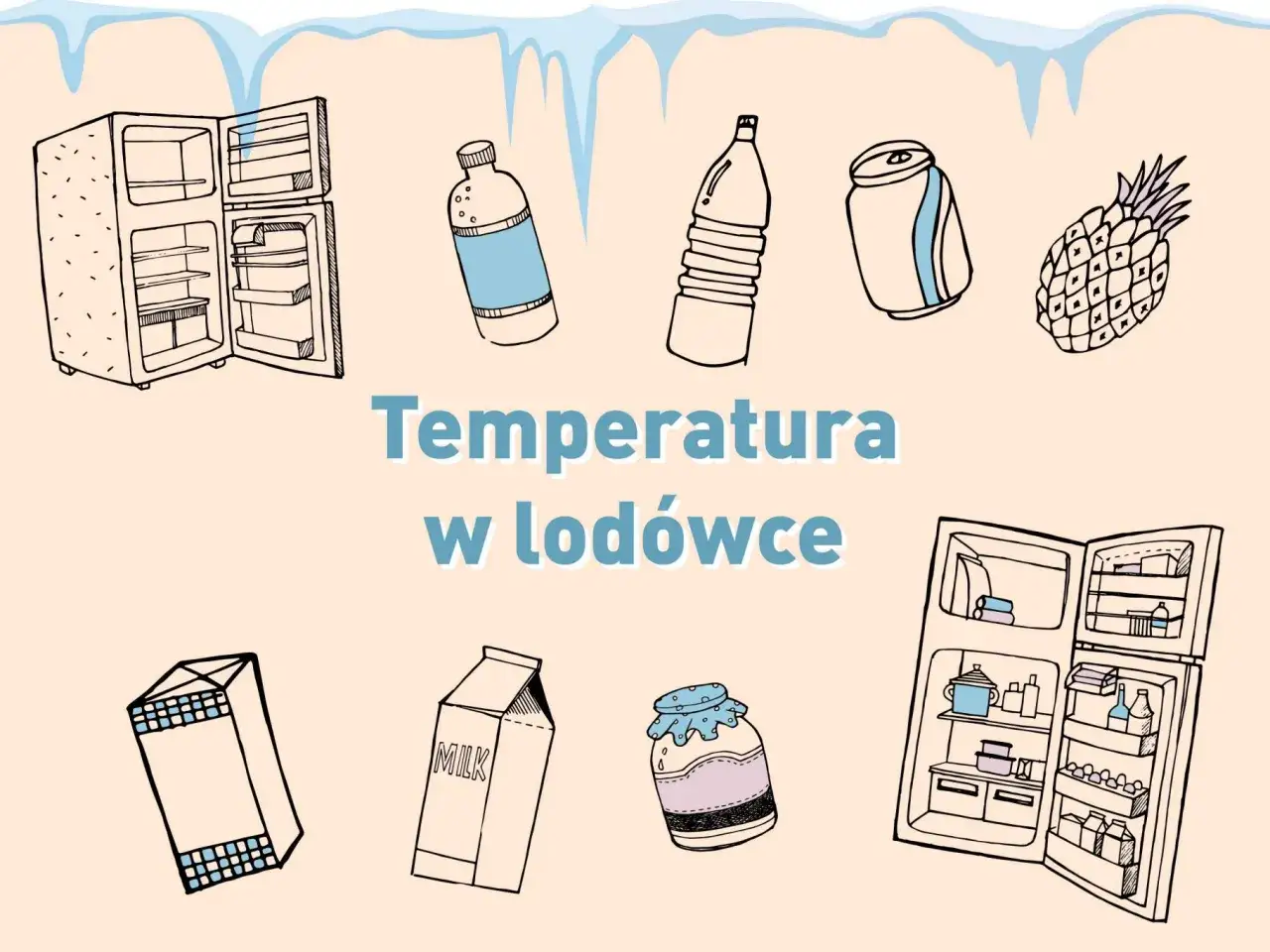 Strefy temperatur w lod&oacute;wce infografika