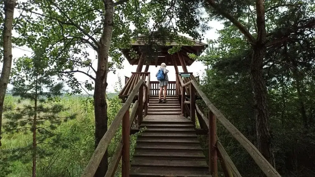 Rezerwat Imielty Ług kładki wieża widokowa