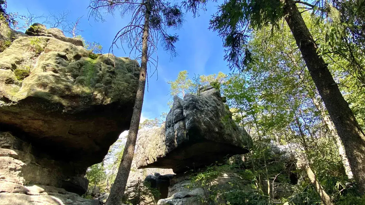 Niezwykłe błędne skały w lesie, niektóre wiszą nad przepaścią, inne tworzą naturalne tunele.
