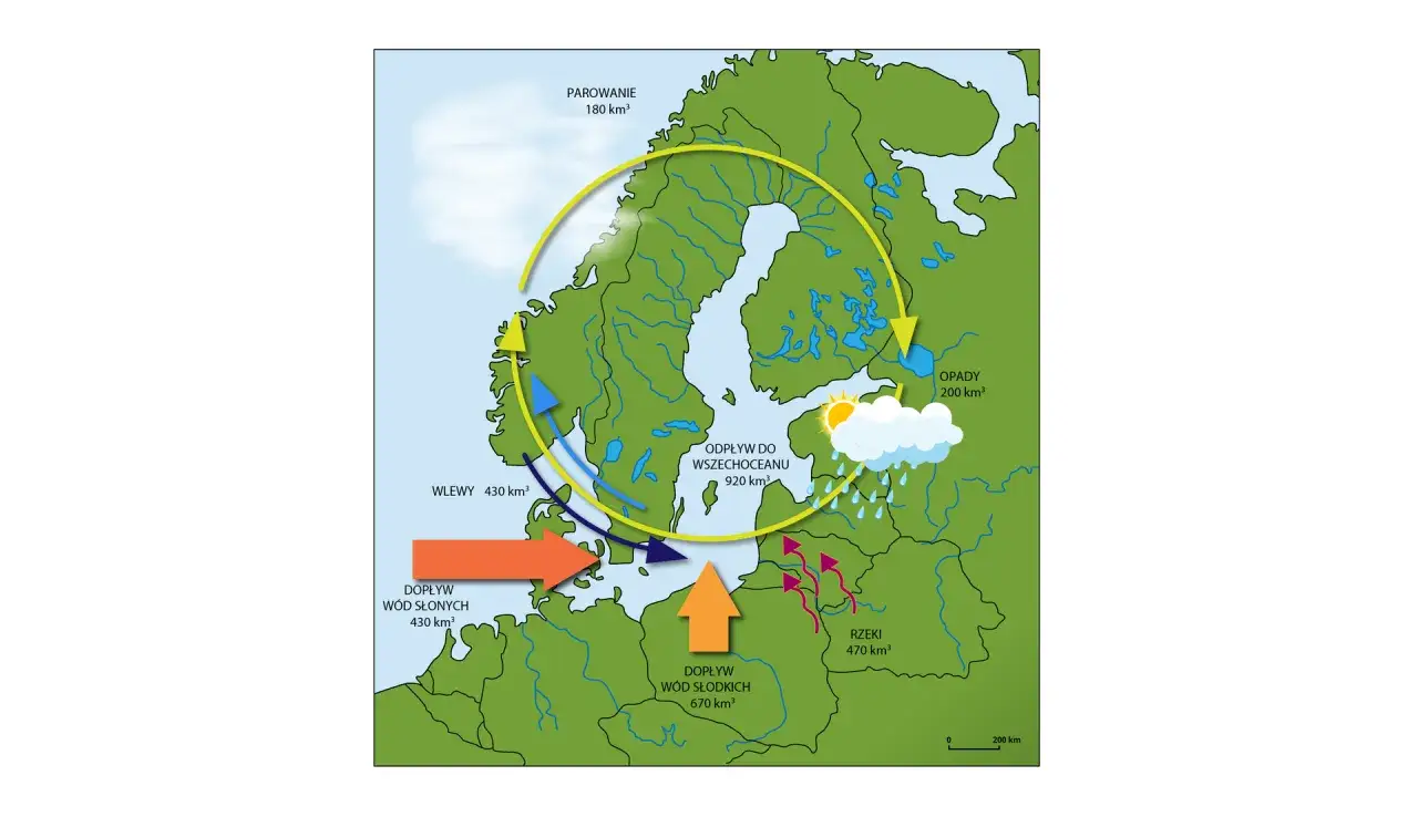 Cykl wodny Bałtyku: parowanie, opady, rzeki, dopływy słodkich i słonych wód. Czy ocean atlantycki jest słony? Tak, a jego wody wpływają do Bałtyku.