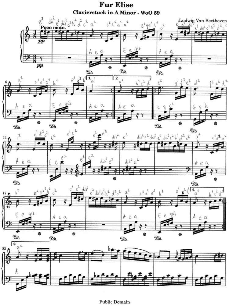 Zdjęcie Jak zagrać na pianinie dla Elizy - proste kroki dla początkujących