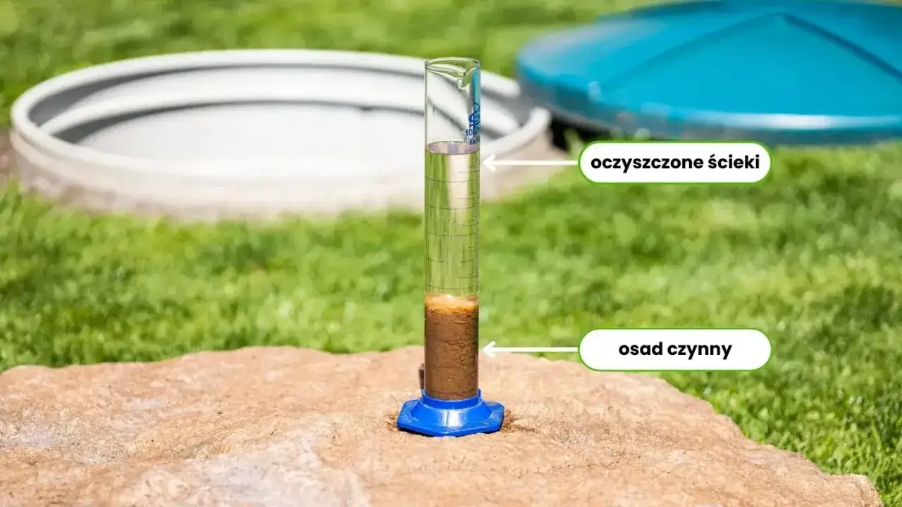 bakterie w oczyszczalni ścieków rola