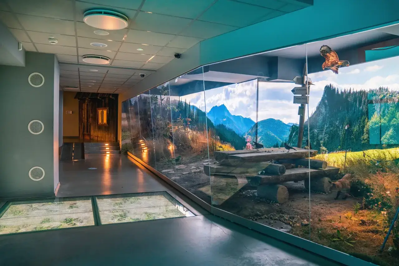 Centrum Edukacji Przyrodniczej TPN wnętrze